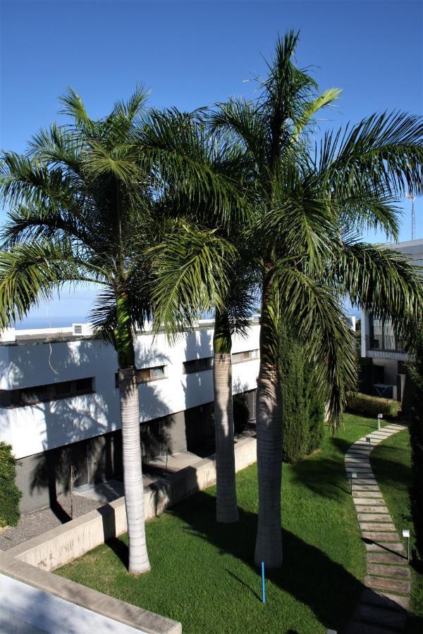 Sissi Boutique - The Terrace Between Ocean And Teide Santa Úrsula المظهر الخارجي الصورة