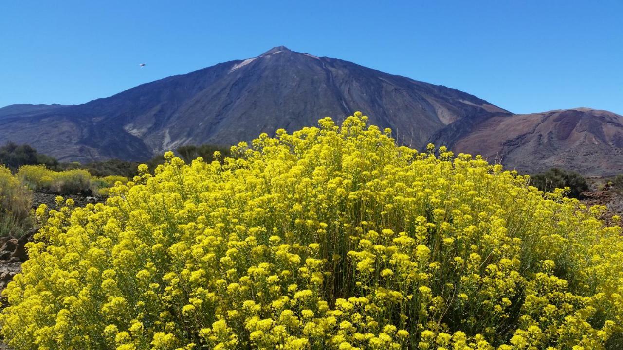 Sissi Boutique - The Terrace Between Ocean And Teide Santa Úrsula المظهر الخارجي الصورة